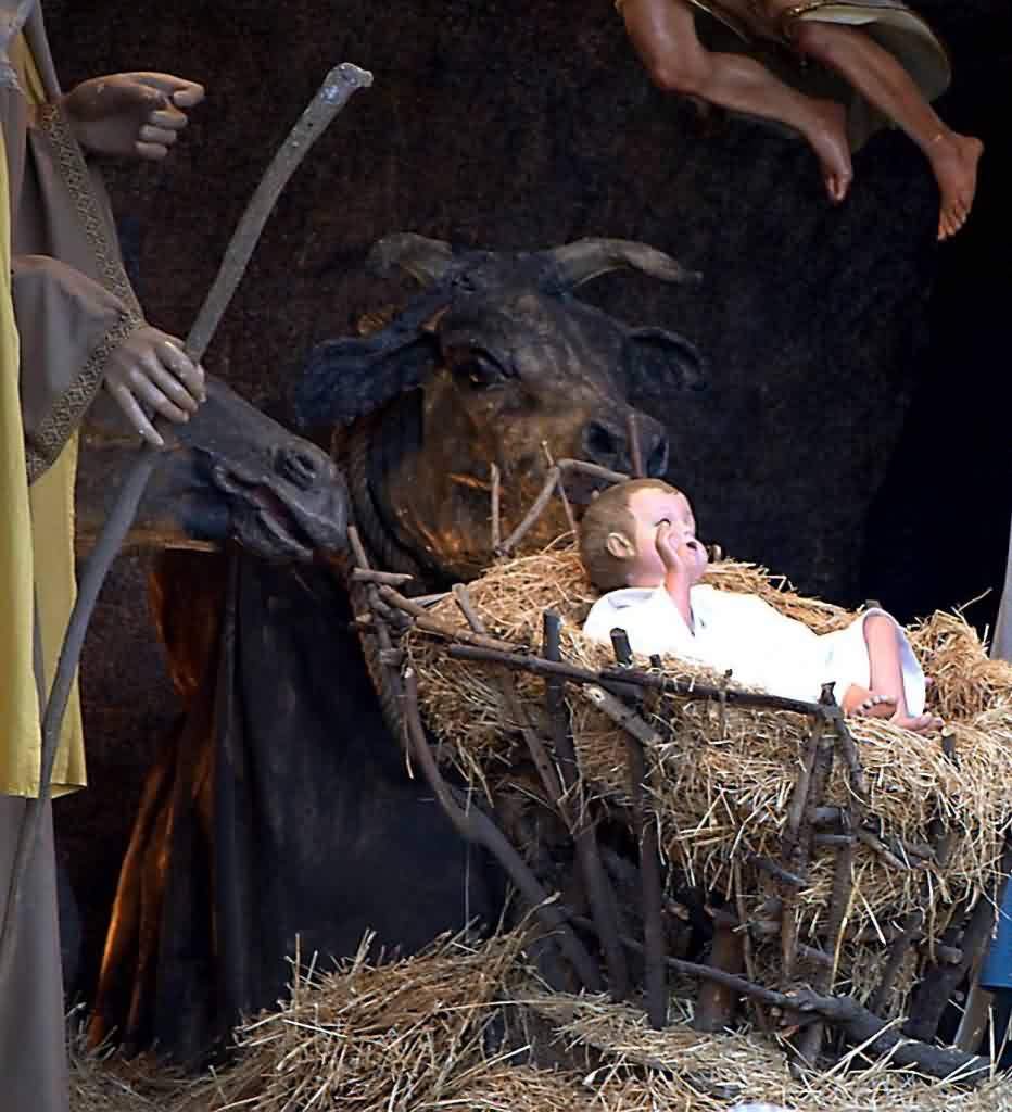 Presépio na Praça de São Pedro, Vaticano
