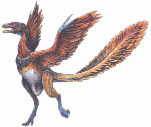archaeopteryx